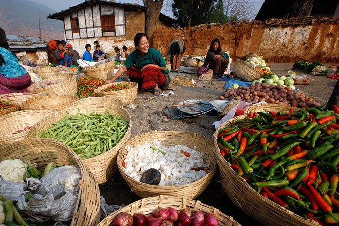 Scenic Bhutan Guided Multi-Day Tour With Airport Pickup - Accommodations and Meals