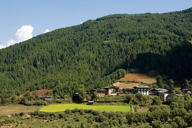 Scenic Bhutan Guided Multi-Day Tour With Airport Pickup - Booking and Considerations