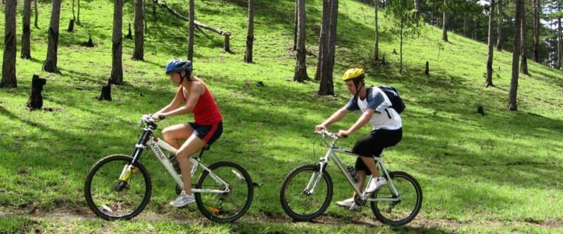 Scenic Biking Tour in Da Lat: Discover Local Farm Life - Itinerary Details