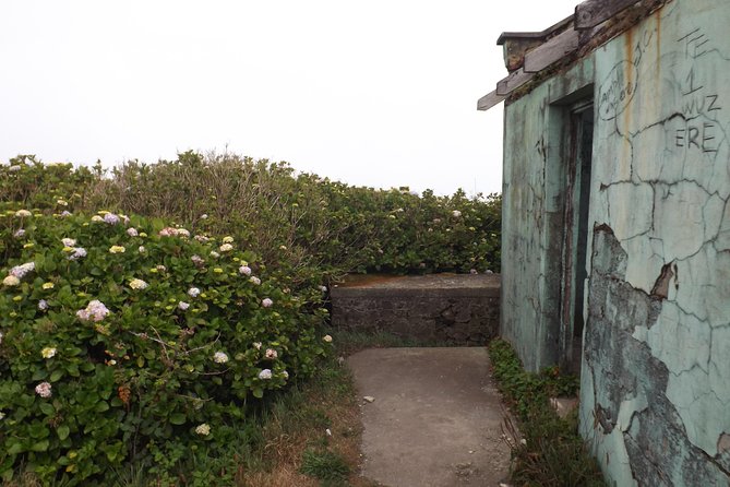 Scenic Blue Mountain Hike From Kingston - Experiencing a Coffee Farm Tour