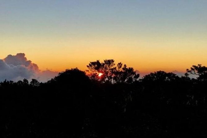 Scenic Blue Mountain Hike From Kingston - Important Considerations for Travelers