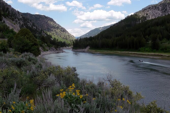 Scenic Brewery Tour of Jackson Hole - Breweries on the Tour