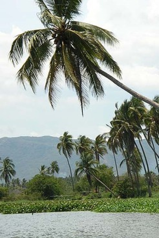 Scenic Coyuca Lagoon Day Trip From Acapulco - Highlights of the Experience