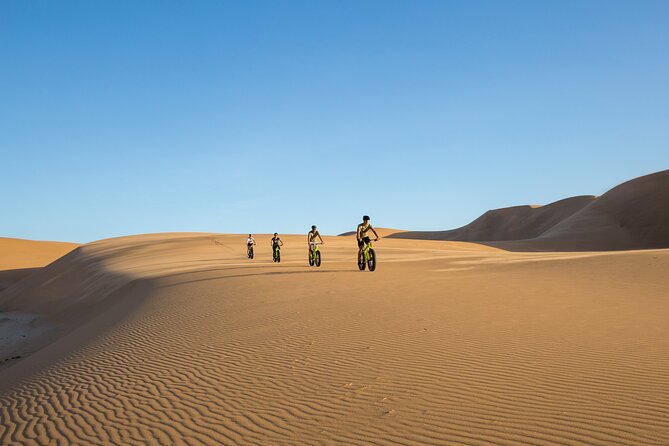 Scenic Desert Tour by Bike - Meeting and Pickup