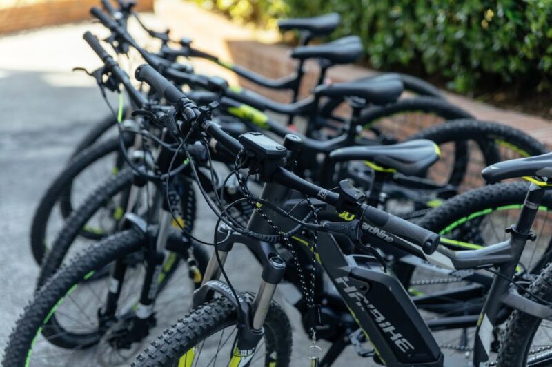 Scenic E-Bike Ride With Vineyard Wine & Meal - Experience Highlights