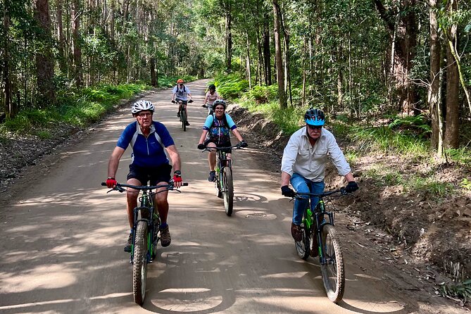 Scenic Ebike of the Noosa Biosphere Trail Network - Terrain and Scenery