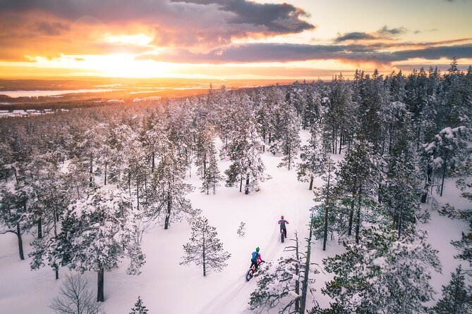 Scenic Electric Fat Bike Group Ride in Rovaniemi - Group Size and Accessibility