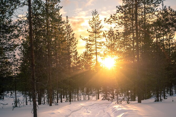 Scenic Electric Fat Bike Group Ride in Rovaniemi - Booking and Cancellation