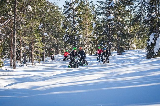 Scenic Electric Fat Bike Group Ride in Rovaniemi - Price and Guarantee