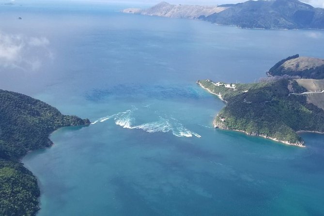 Scenic Flight - Experience Our Water and Wilderness Scenic Tour - Customer Reviews and Feedback