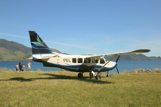 Scenic Flight - Experience Our Water and Wilderness Scenic Tour - Unforgettable Beach Landing Experience