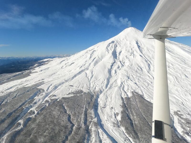 Scenic Flight Over Villarrica Volcano - Traveler Feedback Highlights
