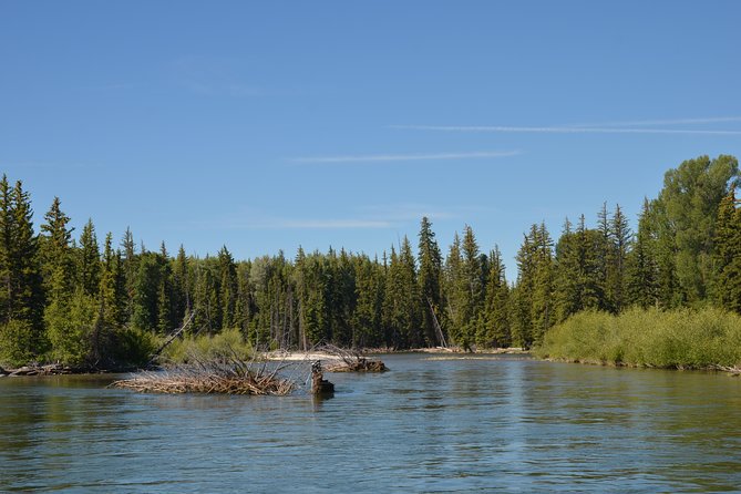 Scenic Float Trip in Grand Teton National Park Jackson Hole - Customer Reviews and Feedback