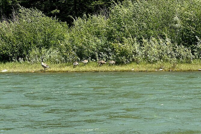 Scenic Float Trip on the Snake River in Grand Teton National Park - The Sum Up