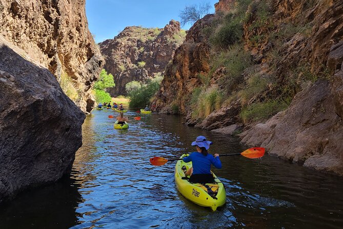 Scenic Guided Kayaking Tour on Saguaro Lake - Snacks, Water, and Water Bottle