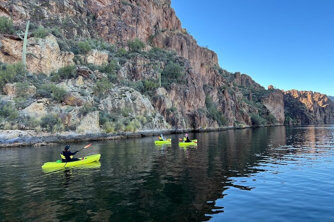 Scenic Guided Kayaking Tour on Saguaro Lake - Positive Traveler Experiences and Recommendations