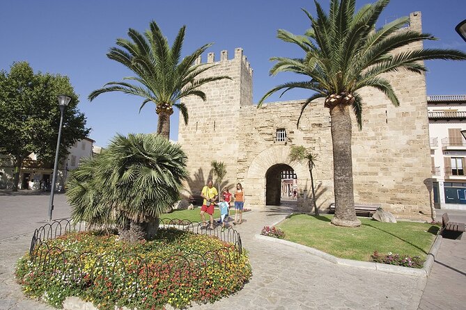 Scenic Guided Tour to Formentor and Alcúdia Local Market - Transportation and Accessibility