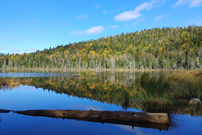 Scenic Hiking Adventure at Mont-Orford National Park - Group Size and Accessibility