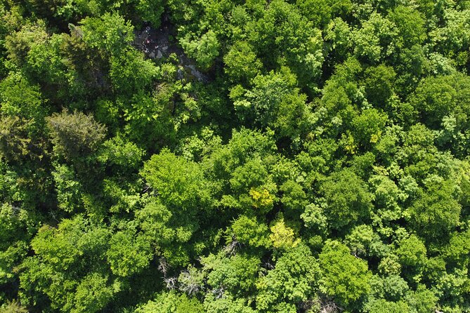 Scenic Hiking Adventure at Mont-Orford National Park - Booking and Cancellation Policy