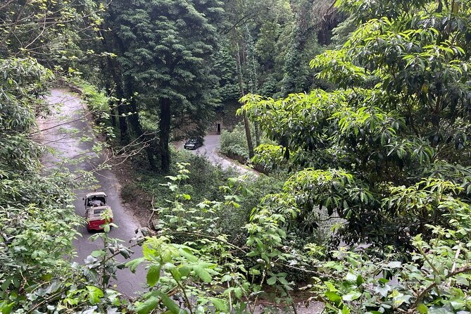 Scenic Hiking Tour in Sintra - About Your Stay