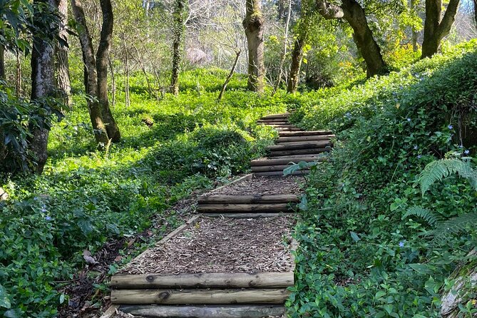 Scenic Hiking Tour in Sintra - Transportation and Access
