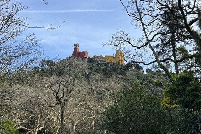 Scenic Hiking Tour in Sintra - Cancellation Policy