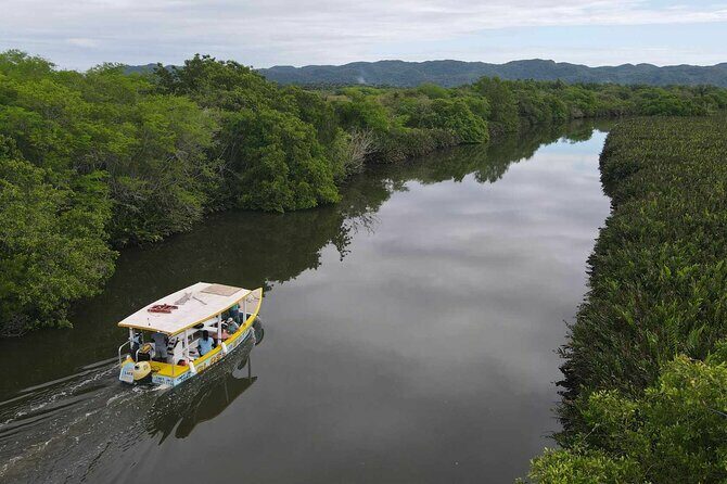 Scenic & Historical Nature Boat Safari Up the Negril River - A Calm Escape into Negril’s Natural and Cultural Heart