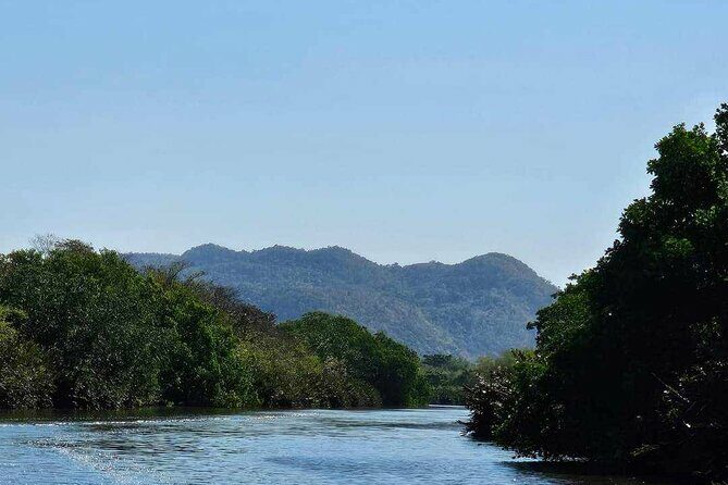 Scenic & Historical Nature Boat Safari Up the Negril River - What to Expect on the Negril River Boat Safari