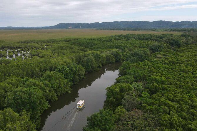 Scenic & Historical Nature Boat Safari Up the Negril River - Practical Tips for Travelers