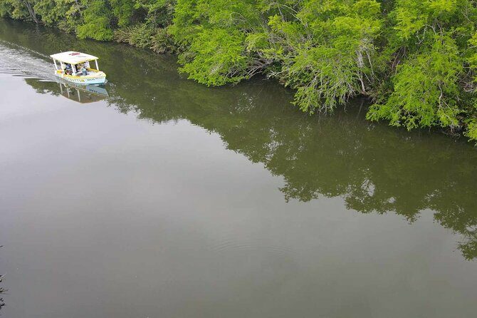 Scenic & Historical Nature Boat Safari Up the Negril River - Who Should Consider This Tour?