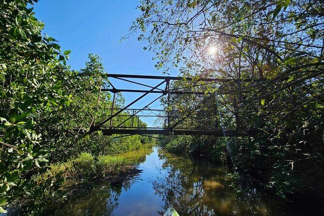 Scenic & Historical Nature Boat Safari Up the Negril River - The Sum Up: Why You’ll Love the Negril River Safari