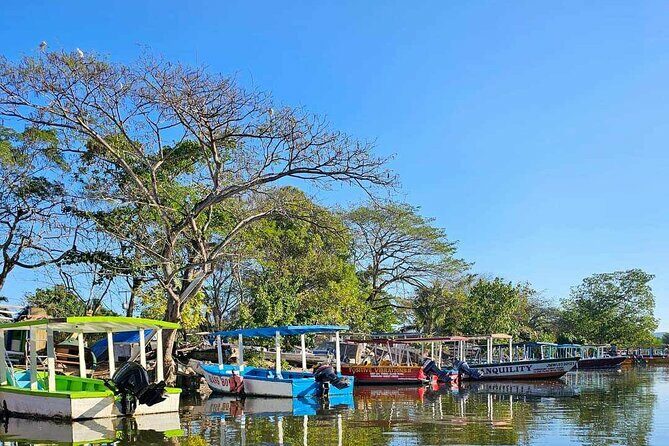Scenic & Historical Nature Boat Safari Up the Negril River - Frequently Asked Questions