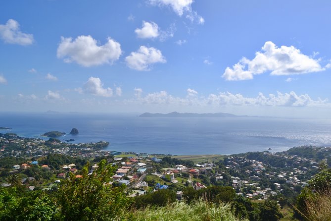 Scenic Historical Tour to Fort Charlotte and Queens Drive From IV Tours - Reviews and Feedback