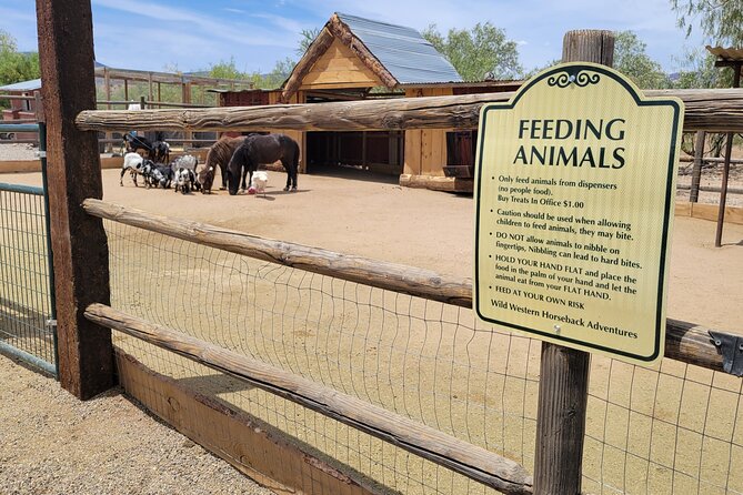 Scenic Horseback Adventure - Accessibility and Transportation