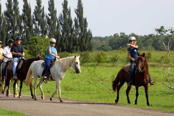 Scenic Horseback Riding Tour from San Juan - The Authentic Experience We Imagine