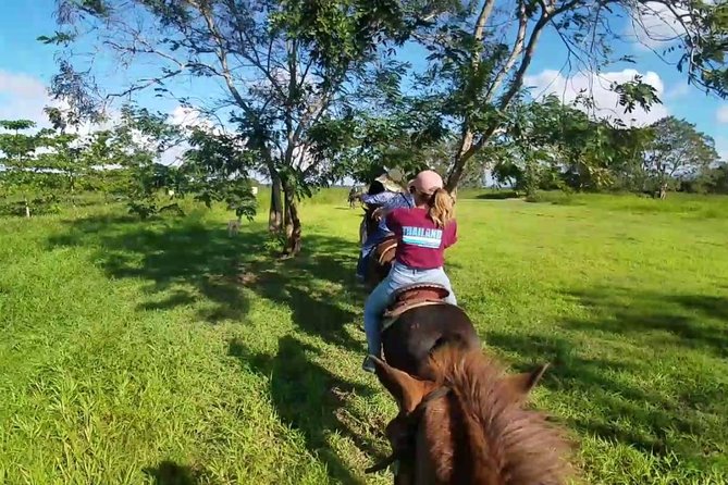 Scenic Horseback Riding Tour From San Juan - Rider Experience and Weight Limit
