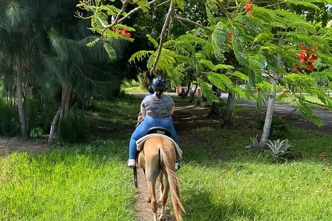 Scenic Horseback Riding Tour From San Juan - Age and Accompaniment Requirements