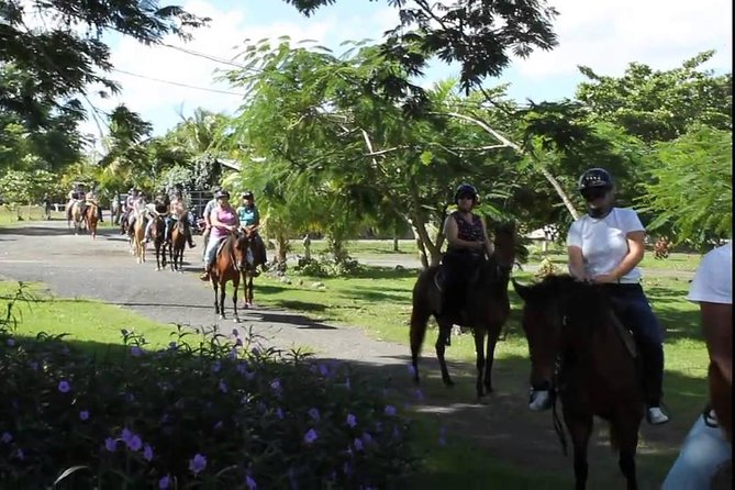 Scenic Horseback Riding Tour From San Juan - Wildlife Observation