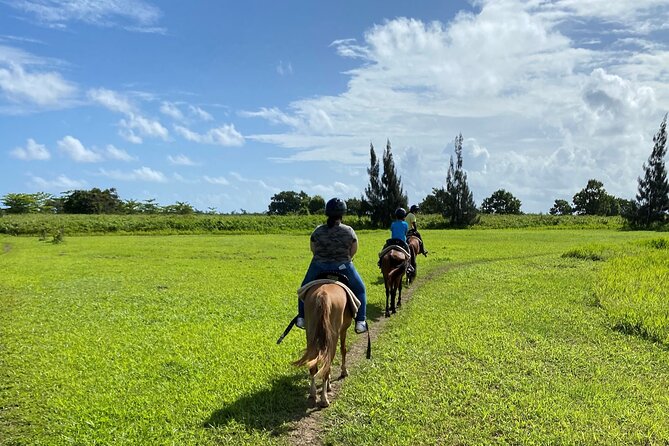 Scenic Horseback Riding Tour From San Juan - Amenities and Post-Tour Experience