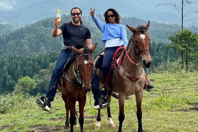 Scenic Horseback Riding With English-Speaking Guides - Key Points