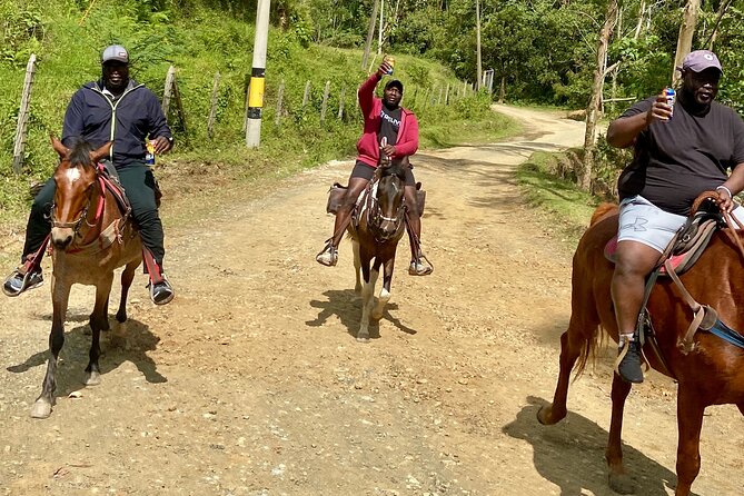 Scenic Horseback Riding With English-Speaking Guides - Transportation and Accessibility