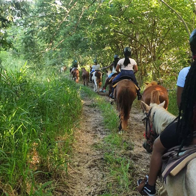 Scenic Horseback Trail - Itinerary
