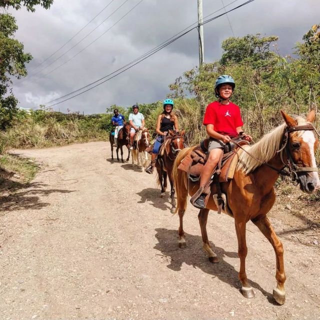Scenic Horseback Trail - Tour Highlights