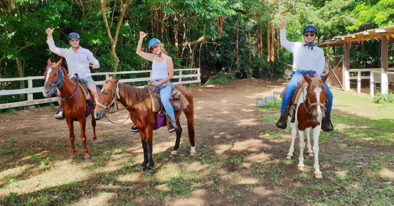 Scenic Horseback Trail - Important Information