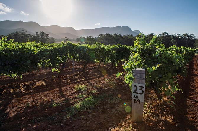 Scenic Hunter Valley Winery Tour With Boutique Wineries & Local Cheese - Comprehensive Tour Itinerary and Start Time