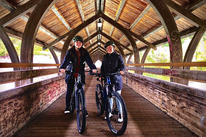 Scenic Innsbruck City and Mountain Ebike Tour - Traveler Reviews