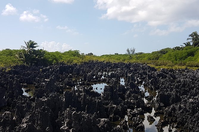 Scenic Island Private Tour - Experiencing the Tours Inclusions