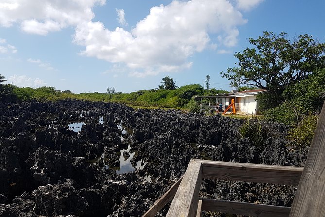 Scenic Island Private Tour - Customer Reviews and Ratings