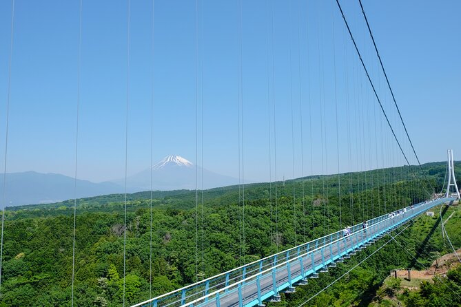 Scenic Mt. Fuji and Hakone: Owakudani, Skywalk & Yumeno Ohashi - Admission Tickets