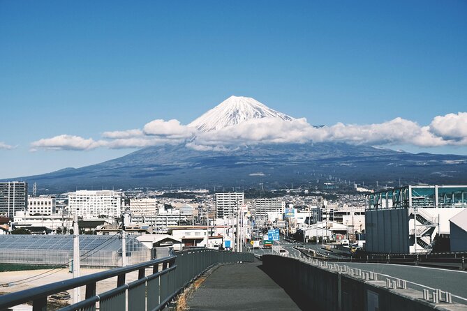 Scenic Mt. Fuji and Hakone: Owakudani, Skywalk & Yumeno Ohashi - Hakone Skywalk Experience
